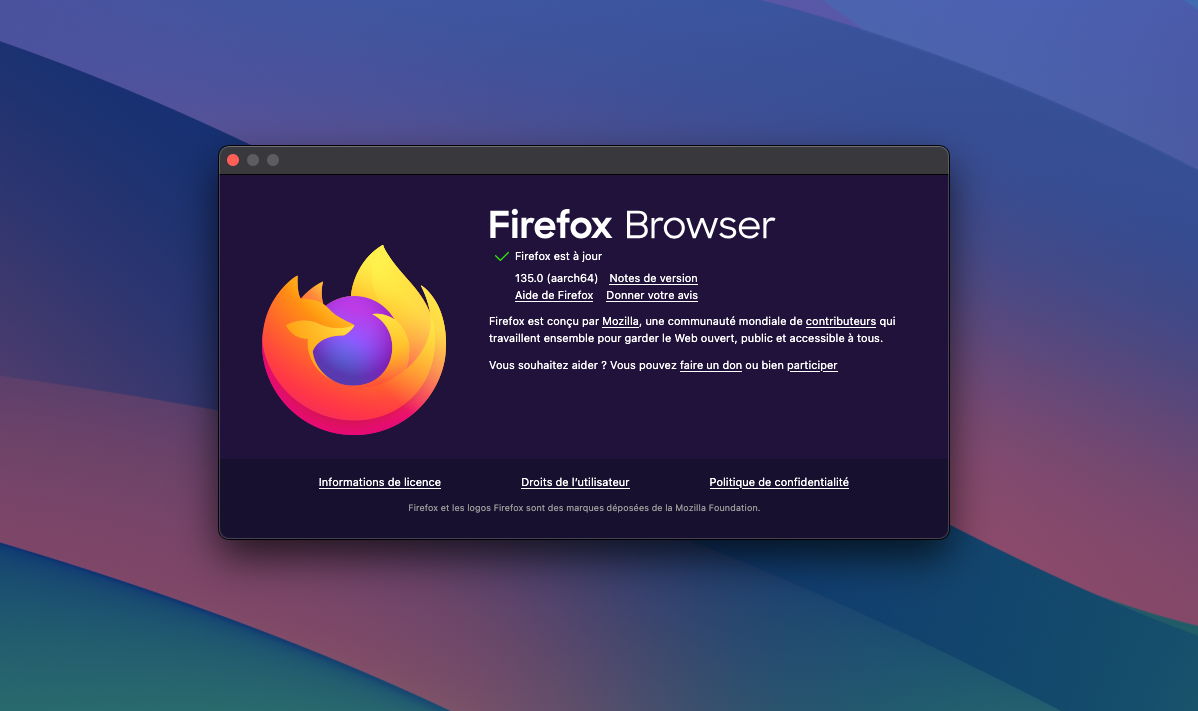 Firefox 135 : IA, sécurité, performances… les nouveautés à ne pas manquer © Clubic