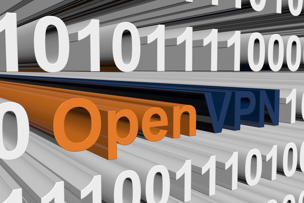 De tous les protocoles VPN, OpenVPN (TCP) reste la valeur la plus sûre © Profit_Image / Shutterstock