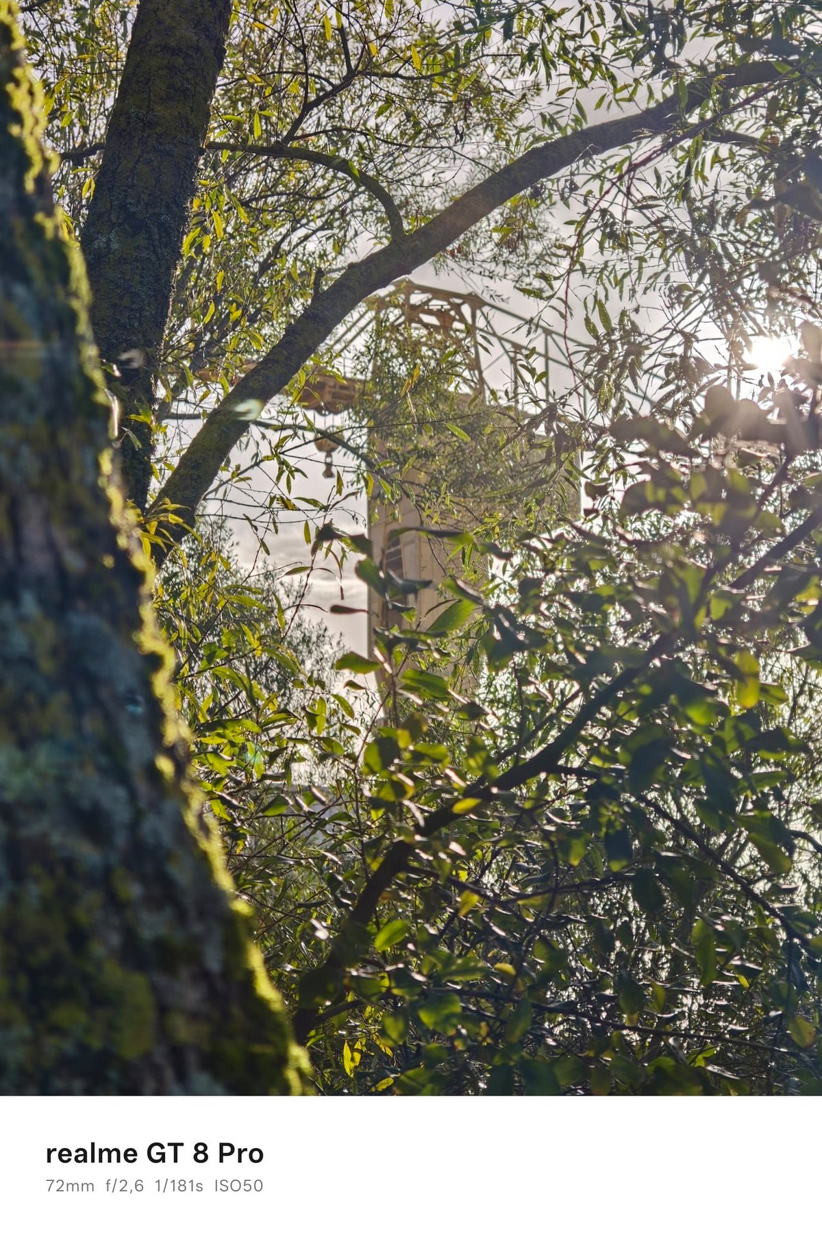 realme gt 8 pro tele