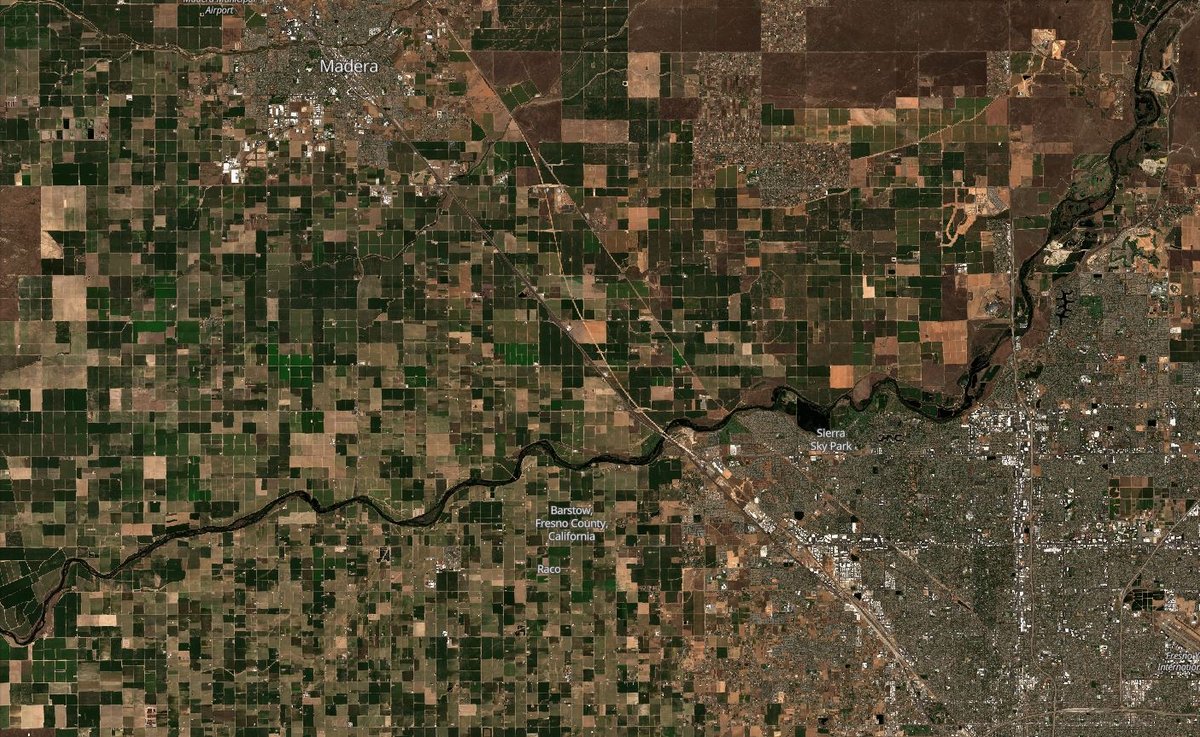 Entre Madera et Fresno, la végétation sèche et l'impact de la sécheresse sur les culture ne passe pas inaperçu. Crédits Copernicus/Sentinel Hub