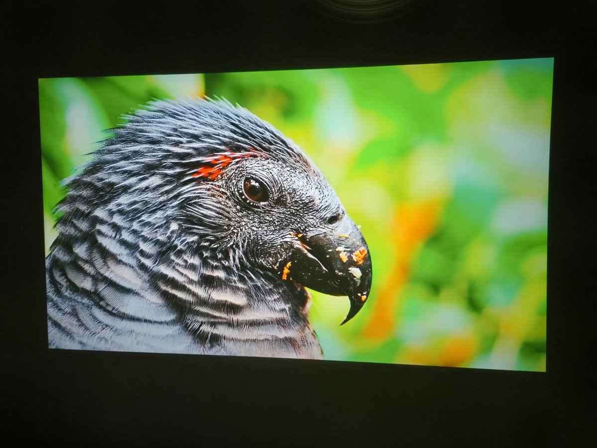 Le niveau de détail est appréciable, même pour du Full HD © Matthieu Legouge pour Clubic