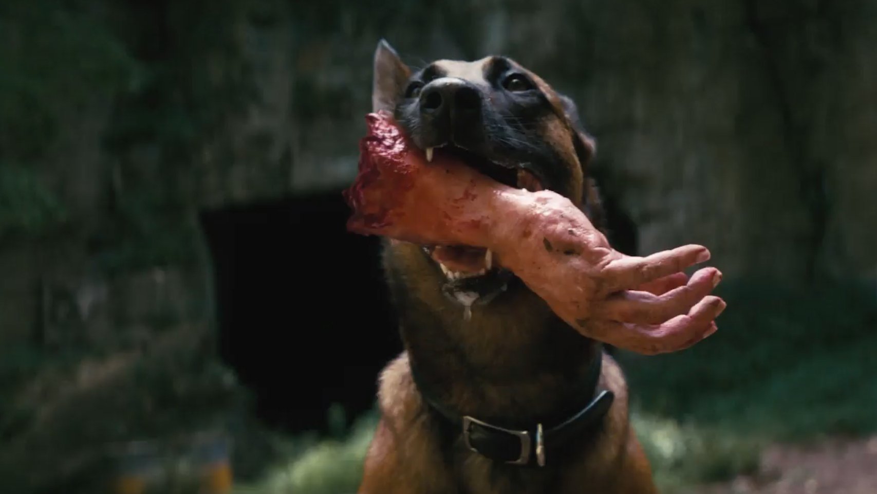 Fallout a déjà du chien (pardon). © Prime Video