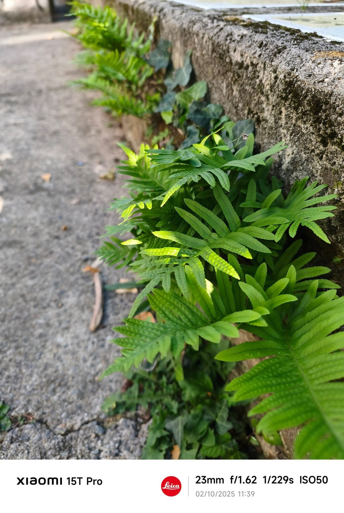 Xiaomi 15T Pro test ga