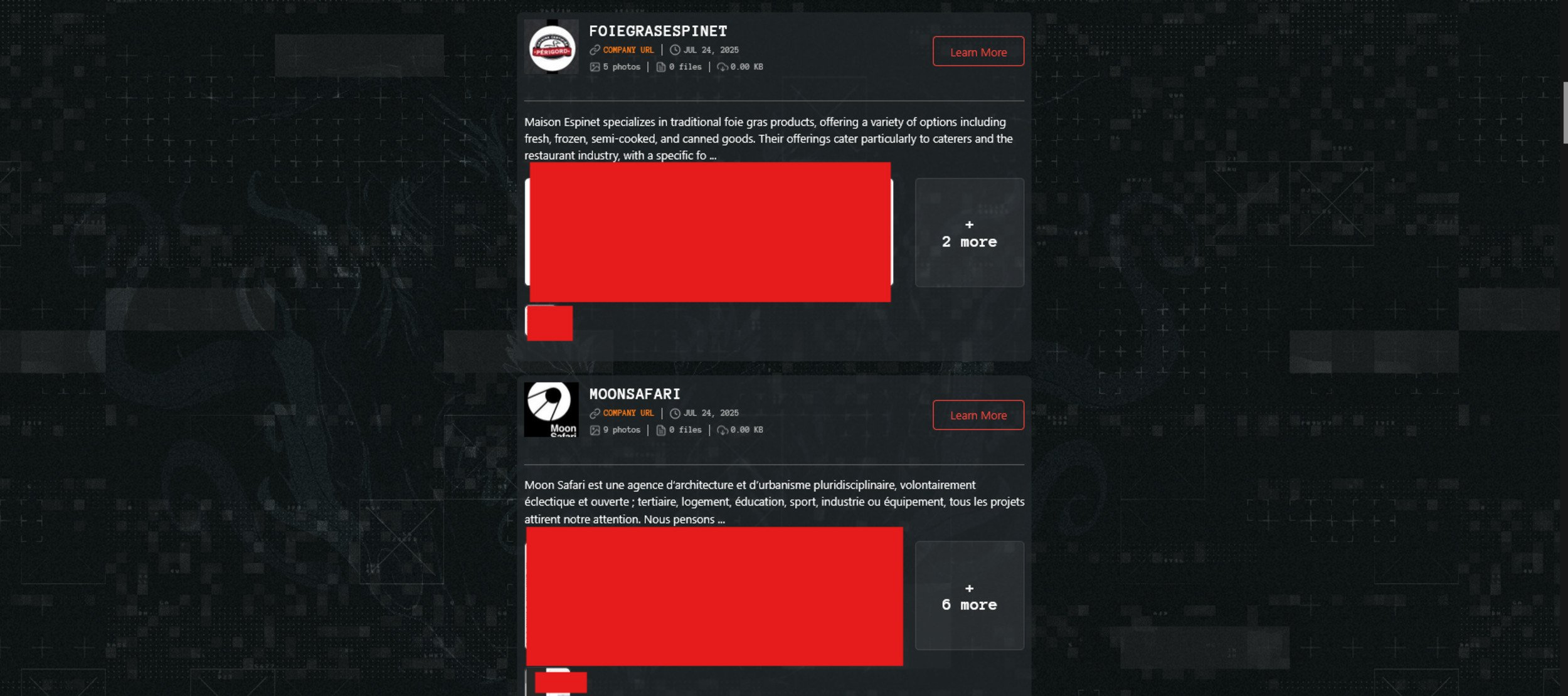 Capture d'écran du blog du groupe de pirates Qilin. © Clubic