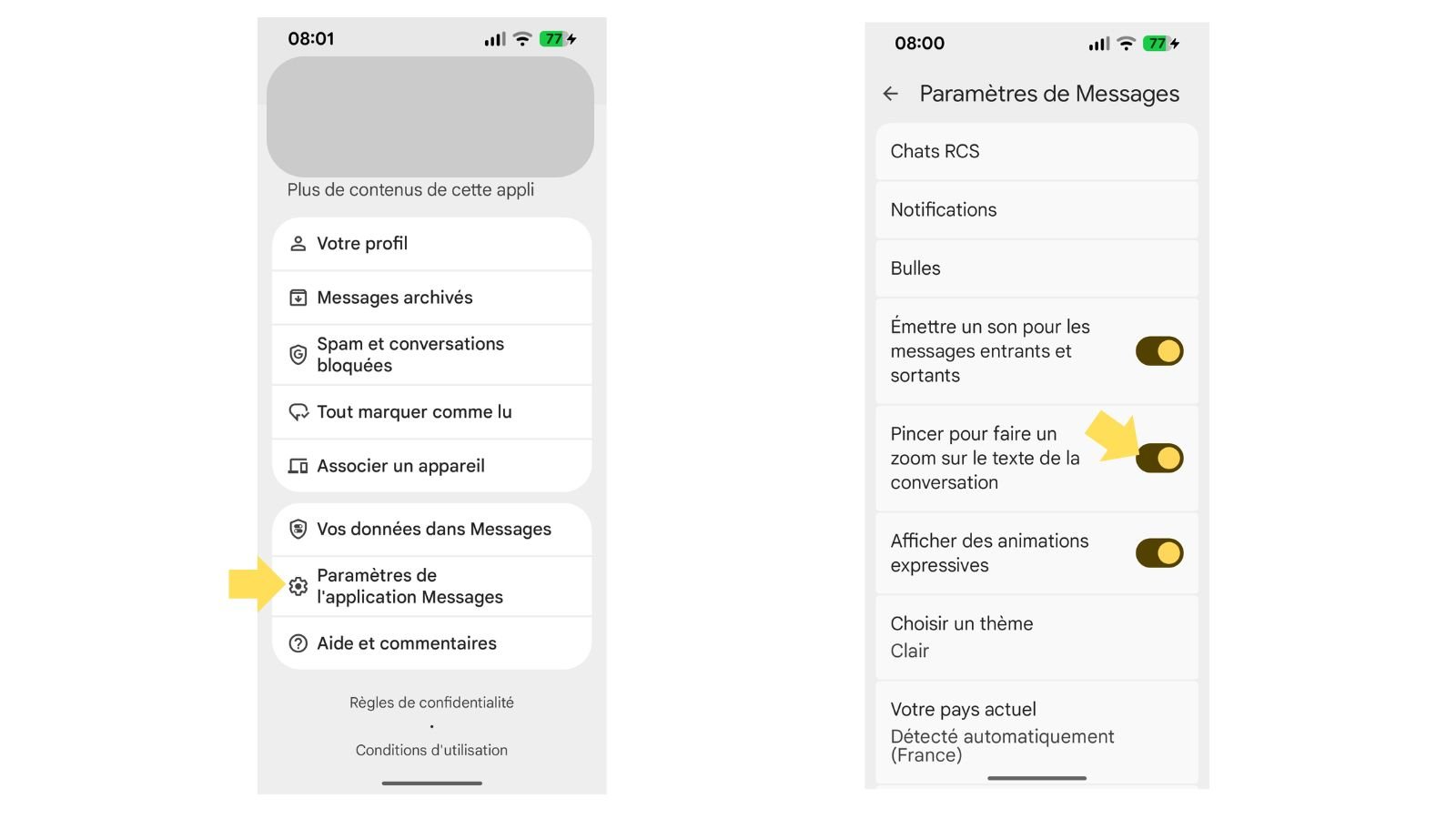 Pincez pour zoomer. ©Google