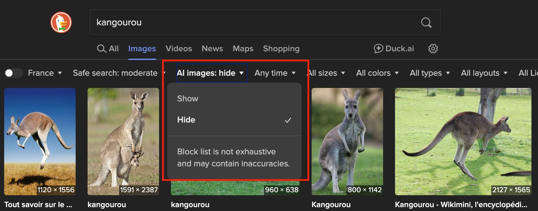 Le nouveau filtre dans DuckDuckGo