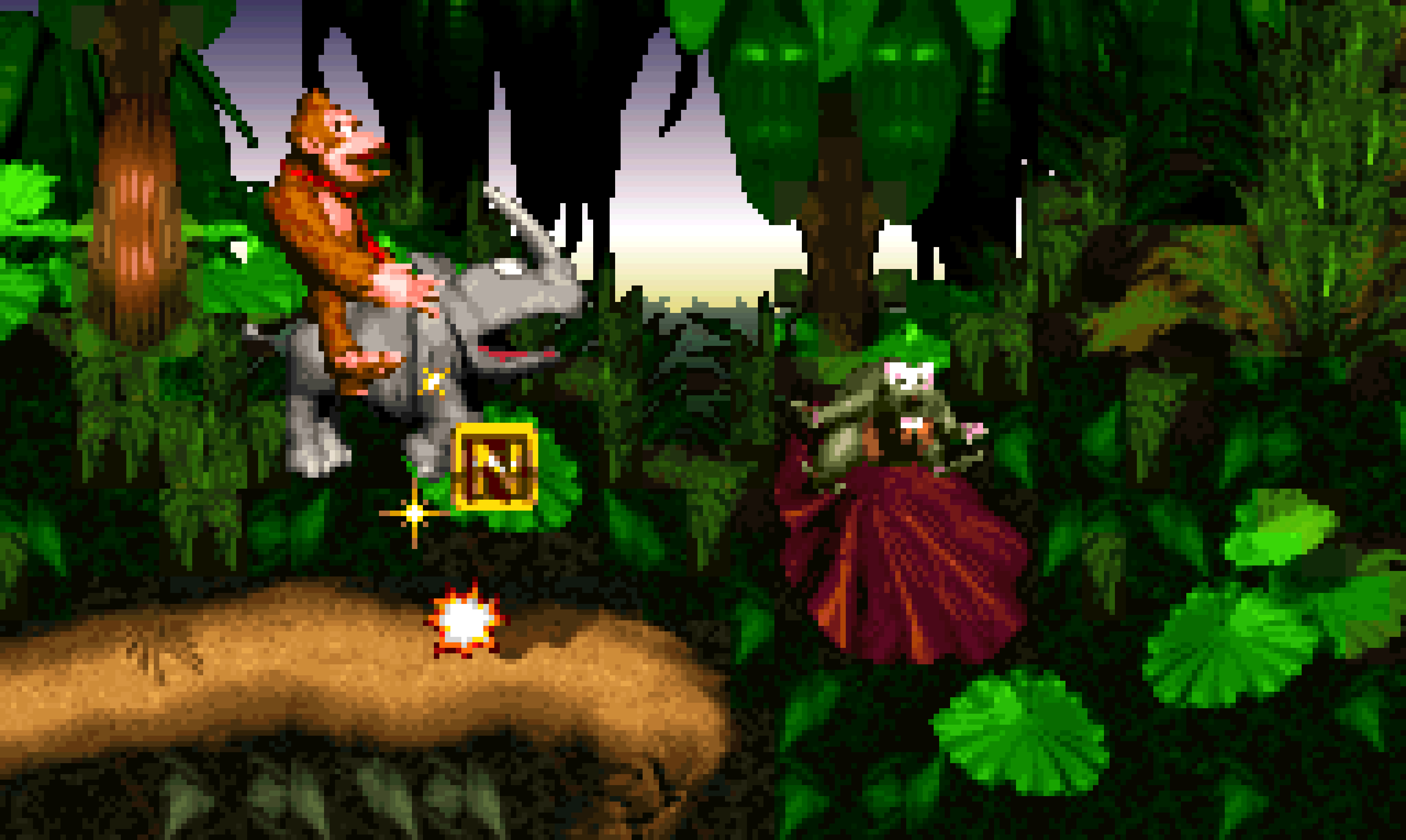 Donkey Kong Country