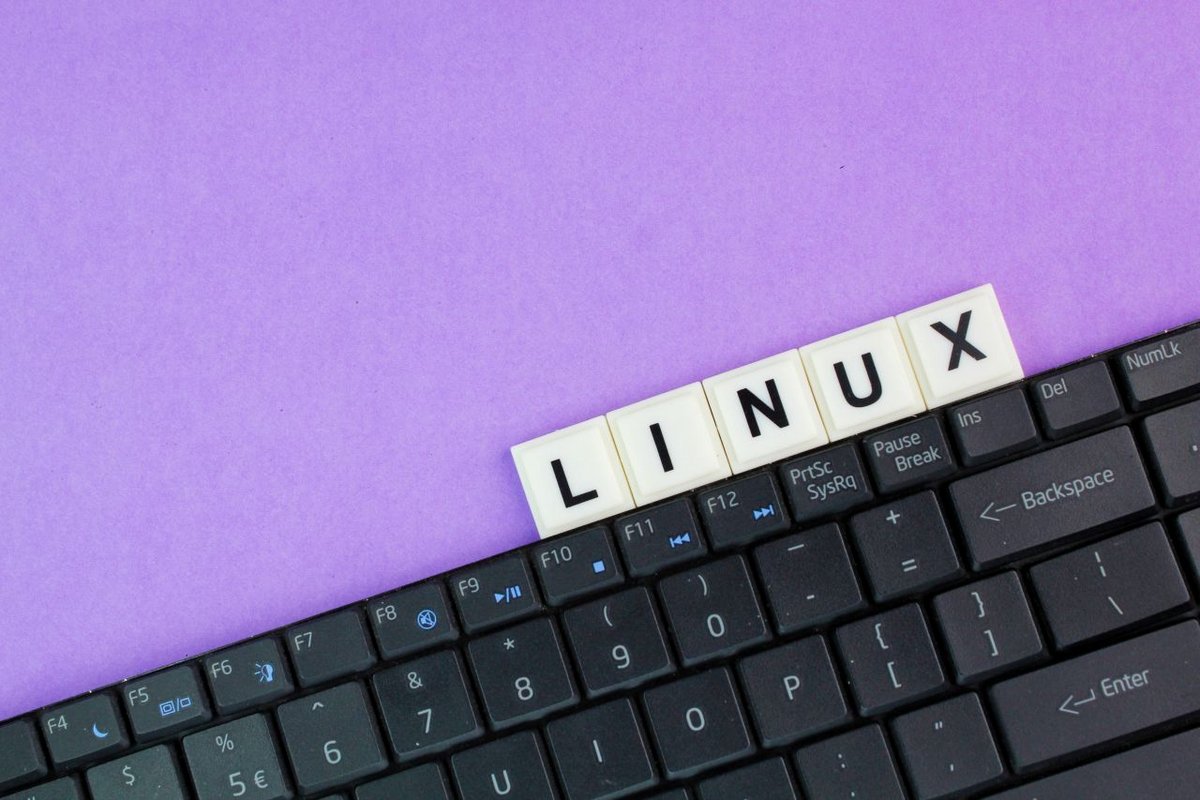 Facebook a mis tous les sujets en rapport avec Linux sur sa liste noire © Fauzi Muda / Shutterstock