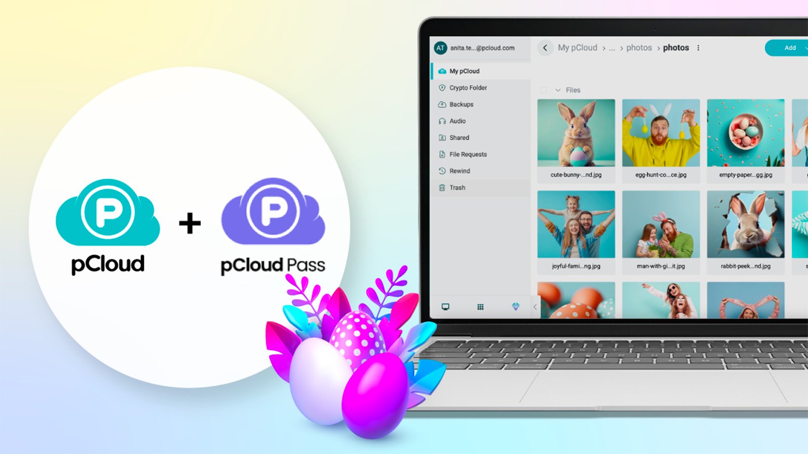 Administrez l'espace cloud disponible entre les différents utilisateurs. ©pCloud