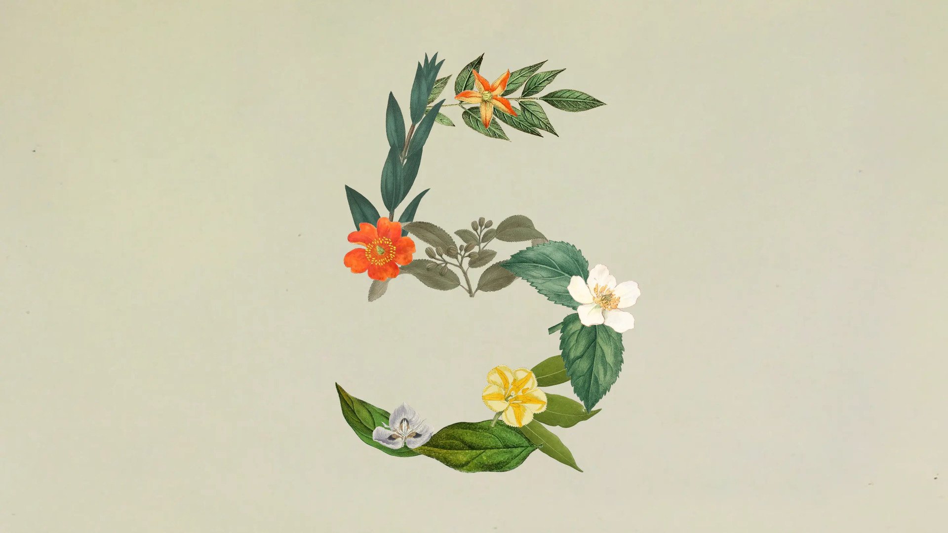 Avec Claude Sonnet 5, Anthropic veut rendre l'IA agentique accessible à tous. © Anthropic