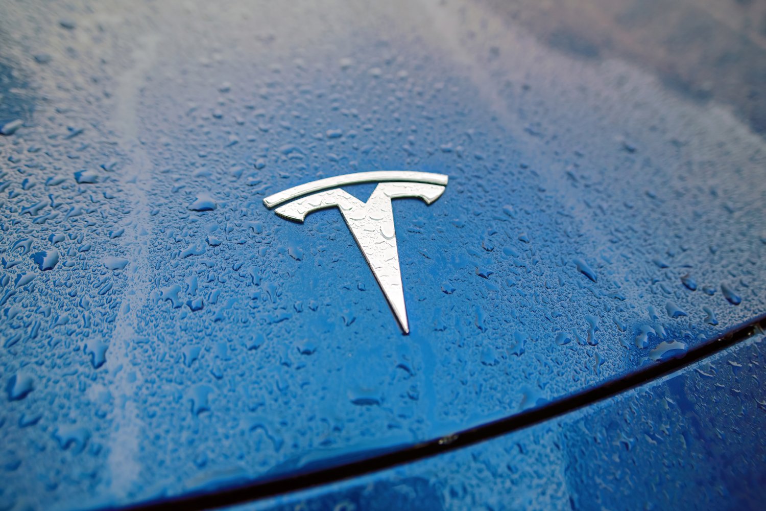 Tesla pourra-t-il un jour devenir un concurrent d'EDF ? © Tricky_Shark / Shutterstock