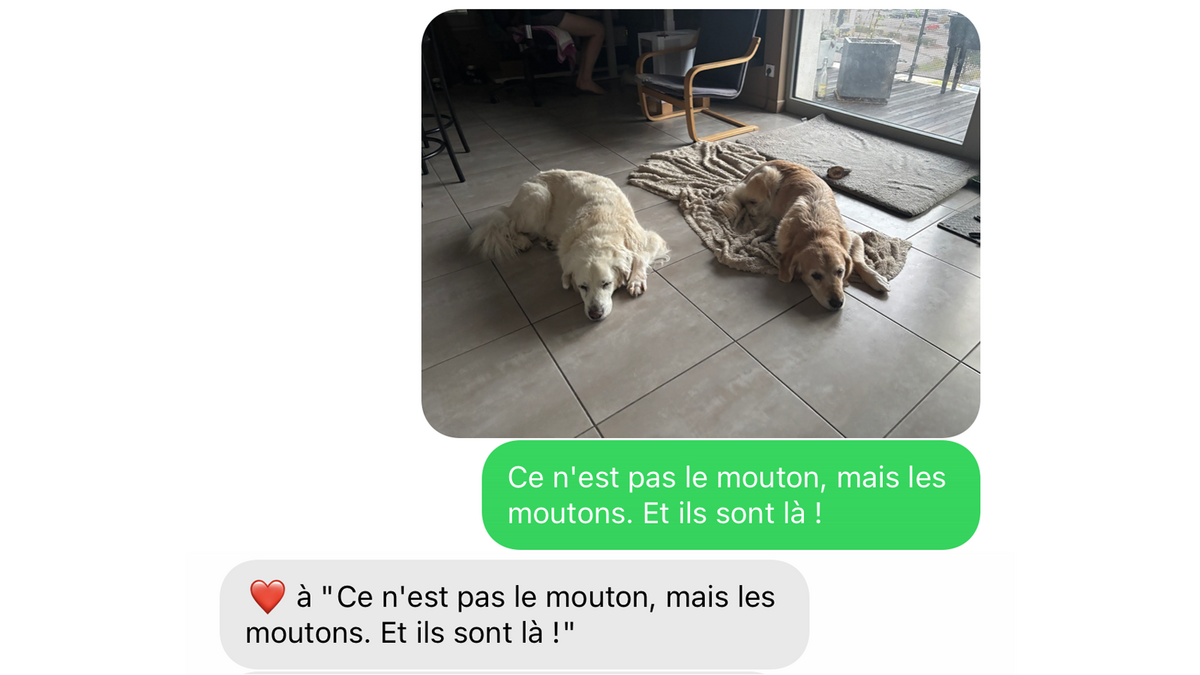 La réaction à un message entre un iPhone et un Android sans le service RCS © Clubic