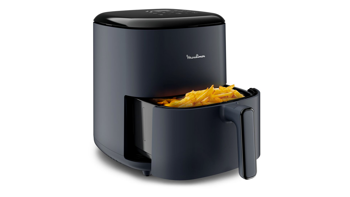 La friteuse Moulinex Easy Fry Max peut préparer des plats pour 6 personnes