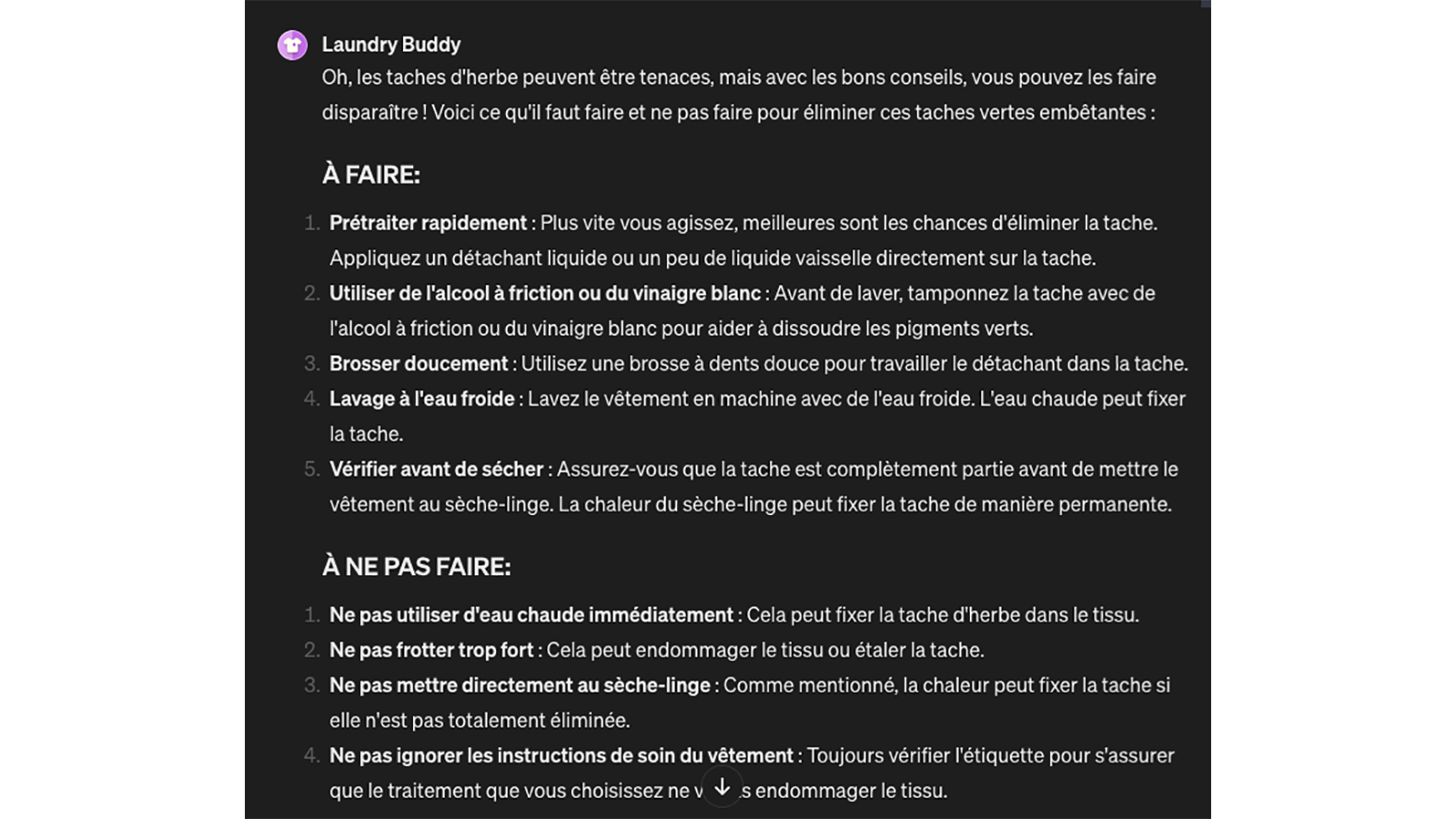 GPT Laundry Buddy © Pascale Duc pour Clubic