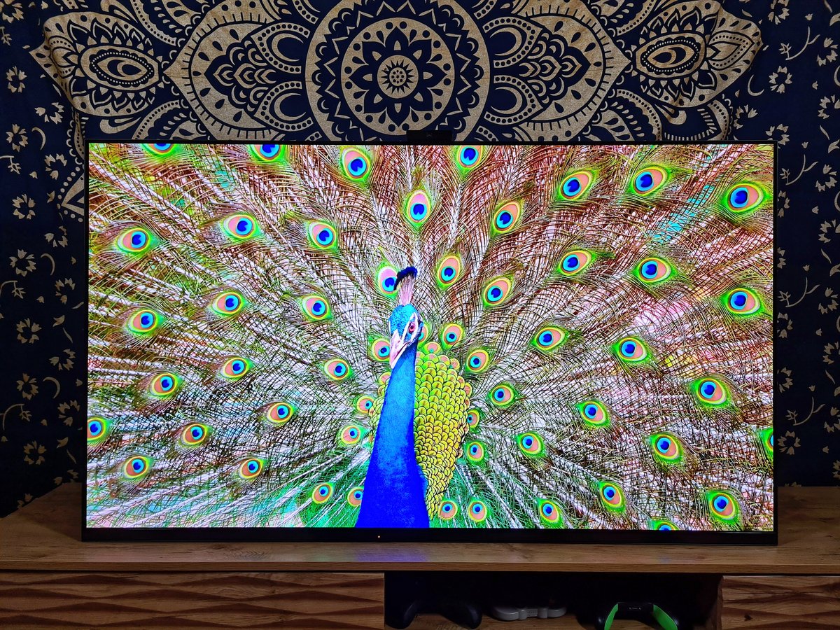 Test Sony Bravia XR A95K