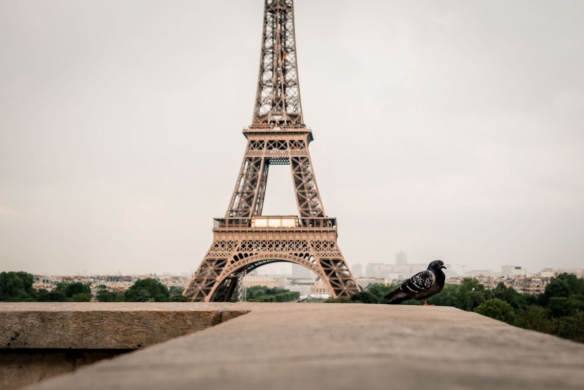 Un espion russe à Paris ? © Anastasia Blag / Shutterstock