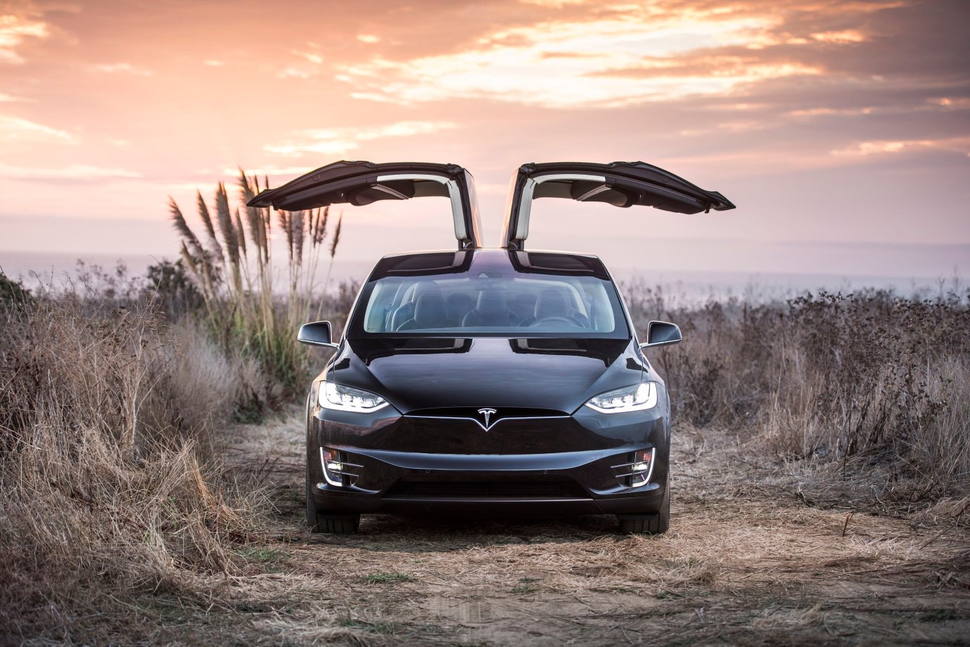 La Tesla Model X et ses portes papillons. ©canadianPhotographer56 / Shutterstock.com
