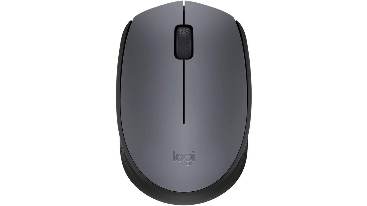 souris Logitech M170