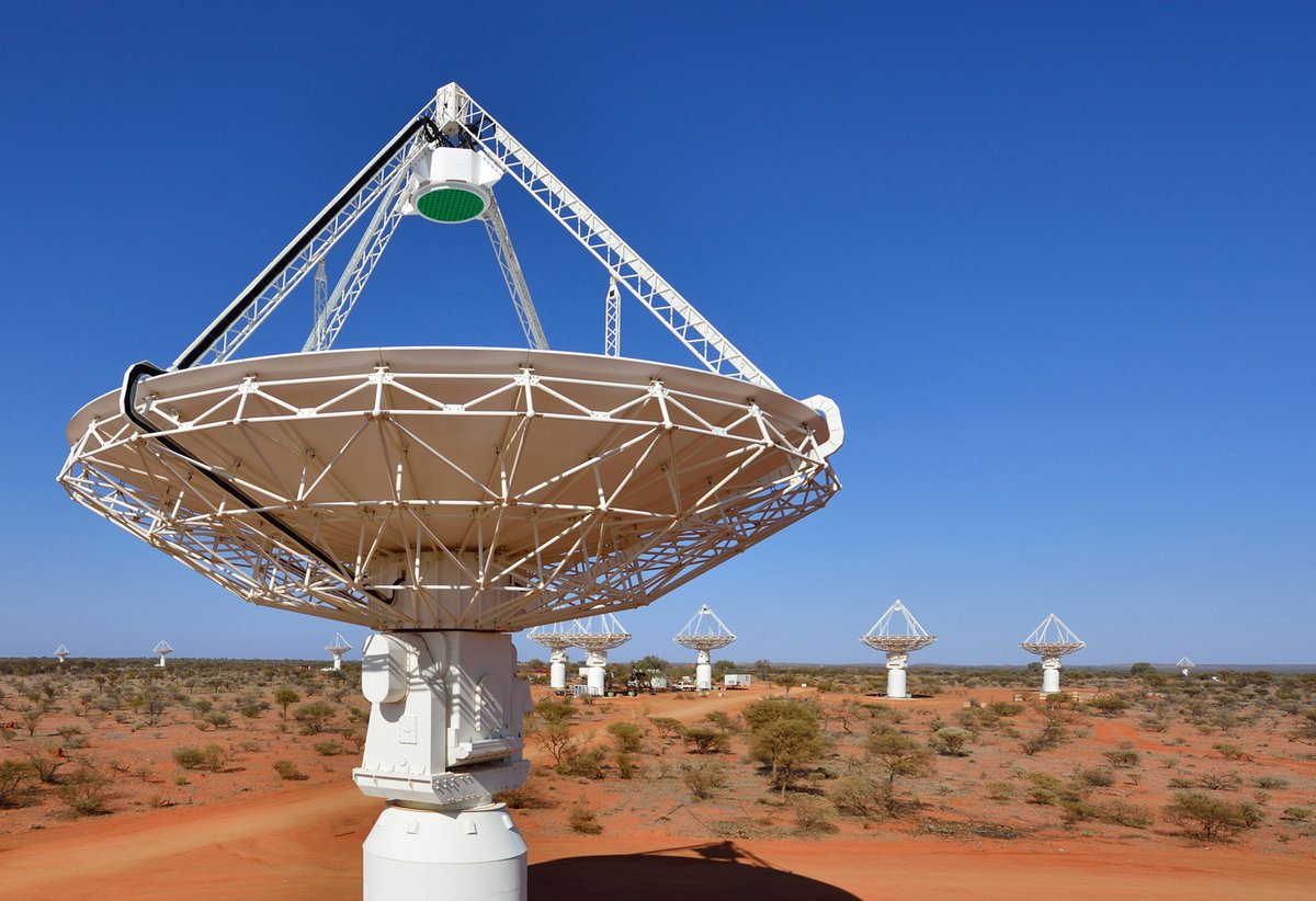 Vue d'une des antennes du télescope ASKAP. Crédit photo : CSIRO