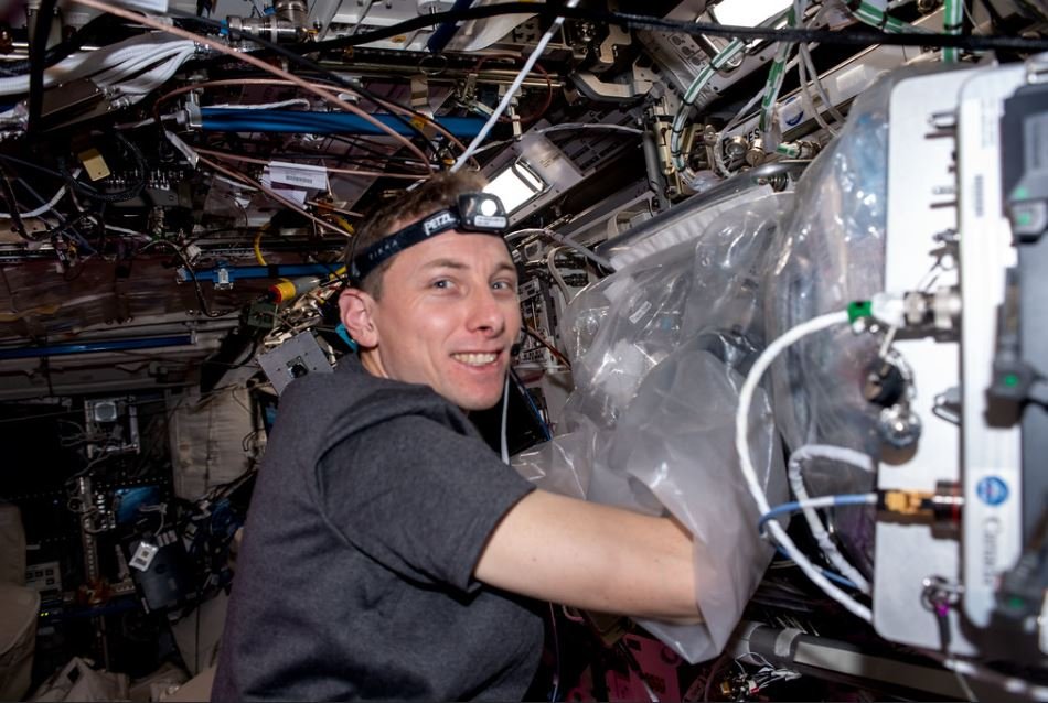 L'astronaute Warren Hoburg travaille à l'impression 3D de cartilage avec la "biofabrication facility", fin mars © NASA