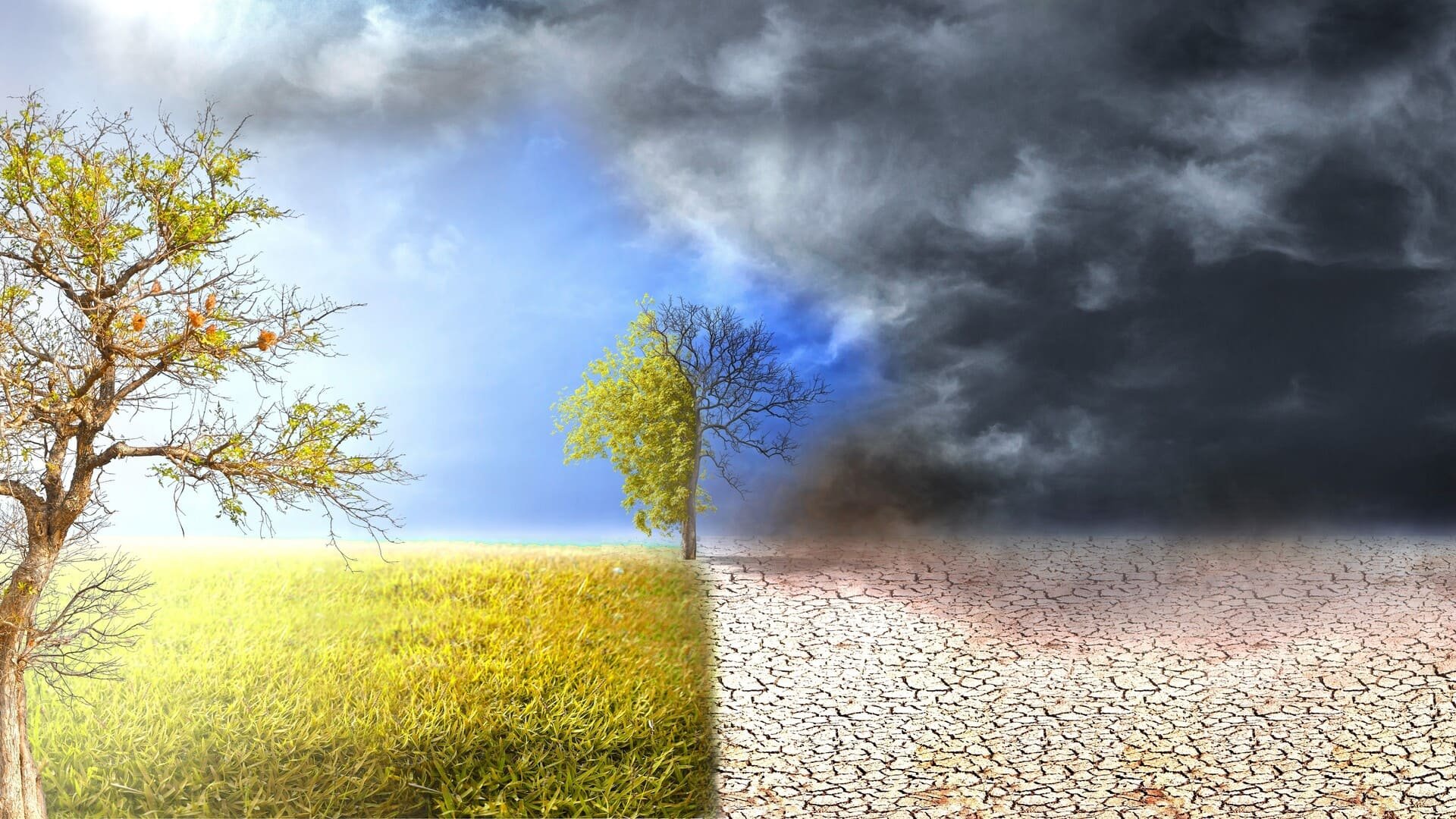 El Niño 2026 pourrait être particulièrement intense, voici comment les satellites l'ont détecté depuis l'espace. © Suthin _Saenontad / Shutterstock