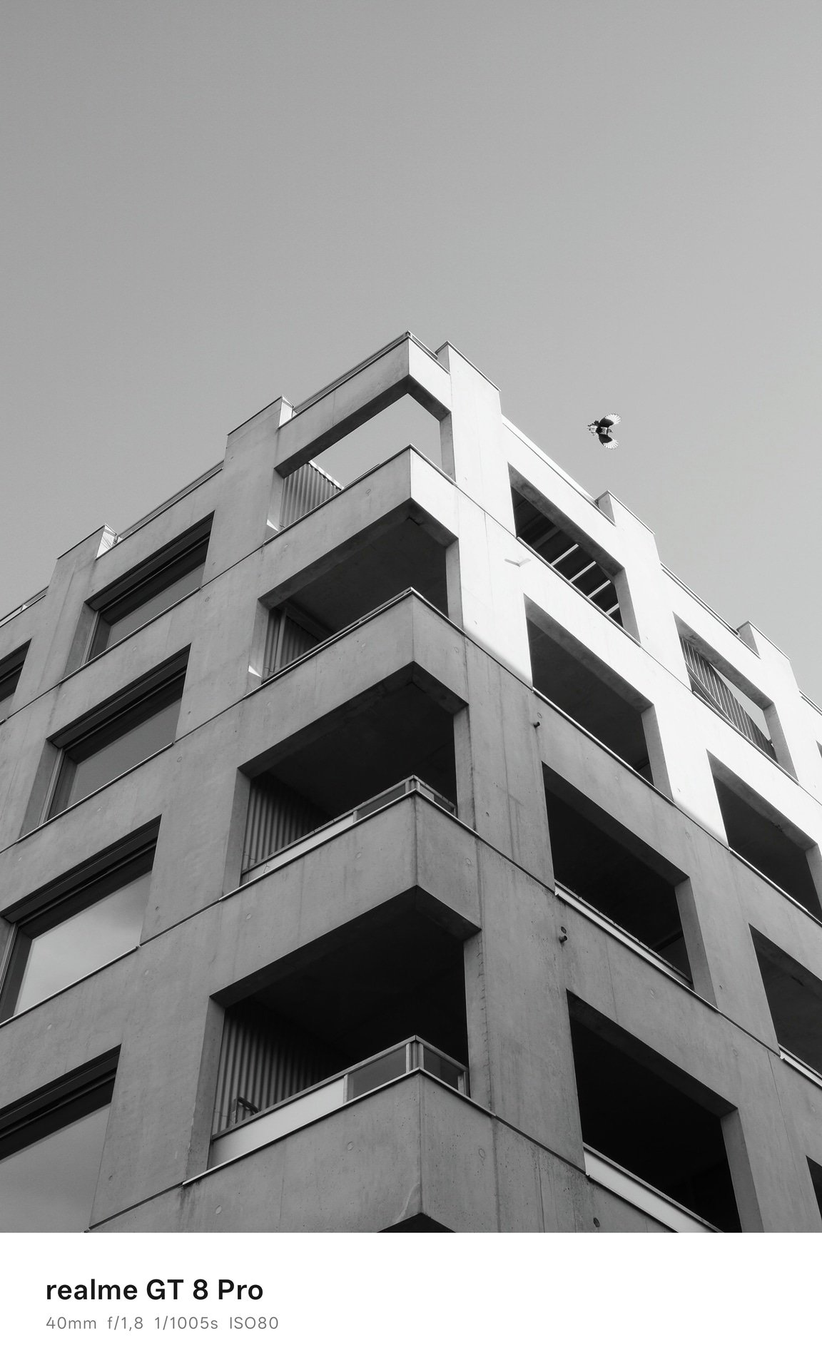 realme gt 8 pro ricoh mode