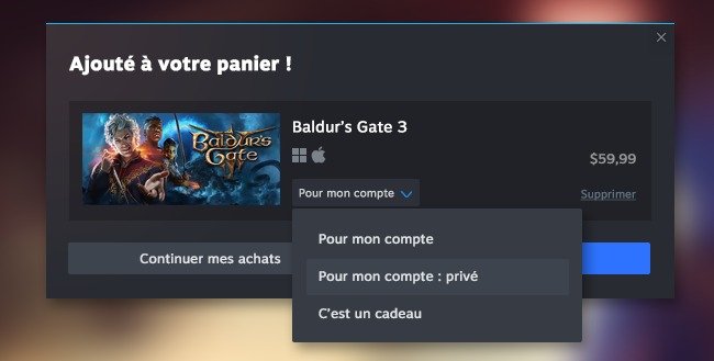 Un achat de jeu en privé sur Steam © Valve