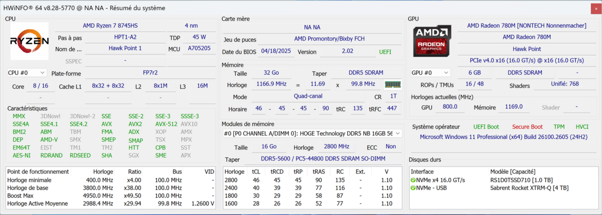 HWInfo détaille les différents composants de l'AM21-8745. ©Nerces pour Clubic