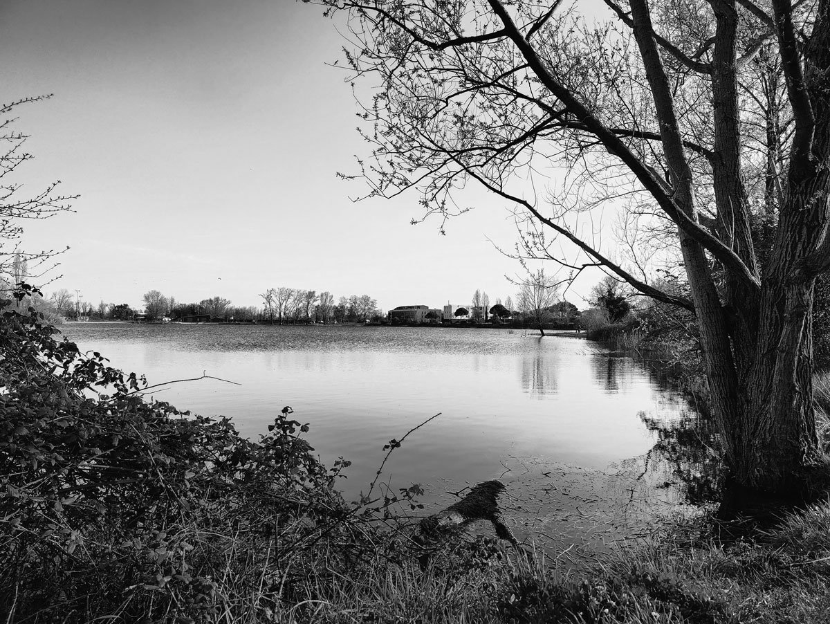 Un capteur monochrome intéressant.