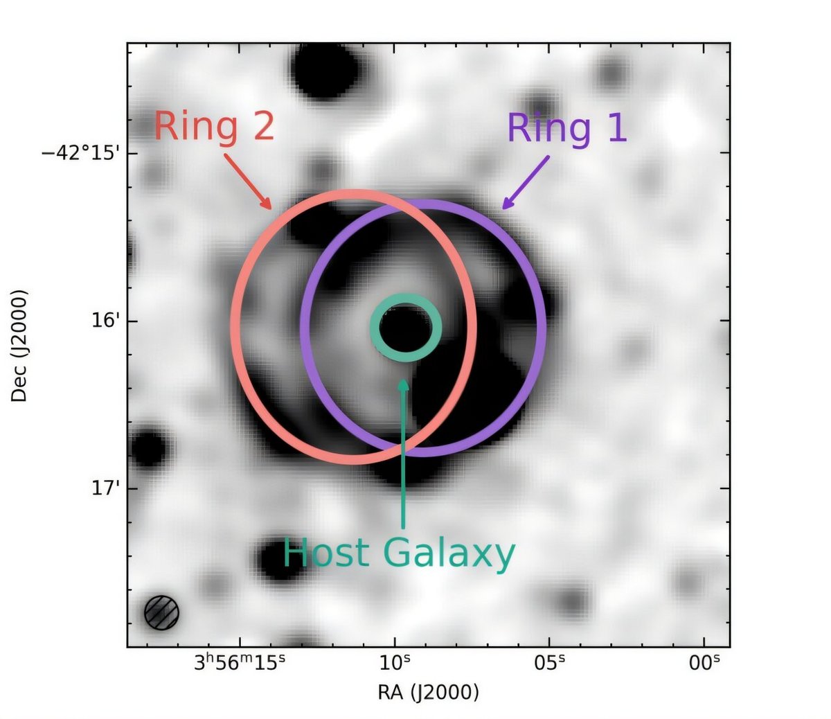 Carte du ciel à 1,28 GHz issue du radiotélescope MeerKAT, montrant l’ORC J0356–4216 et sa galaxie associée. © arXiv (2025)