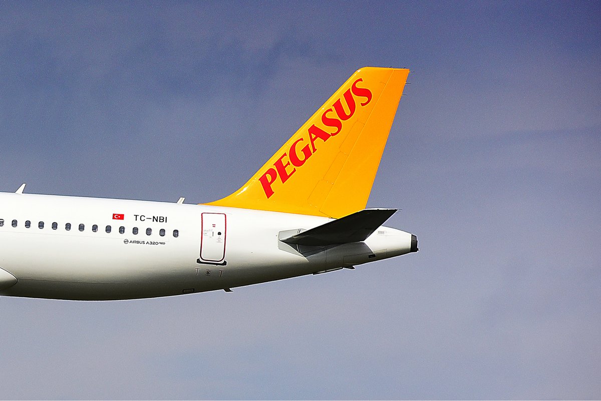 Un Airbus A320 de la compagnie Pegasus Airlines © Vytautas Kielaitis / Shutterstock.com