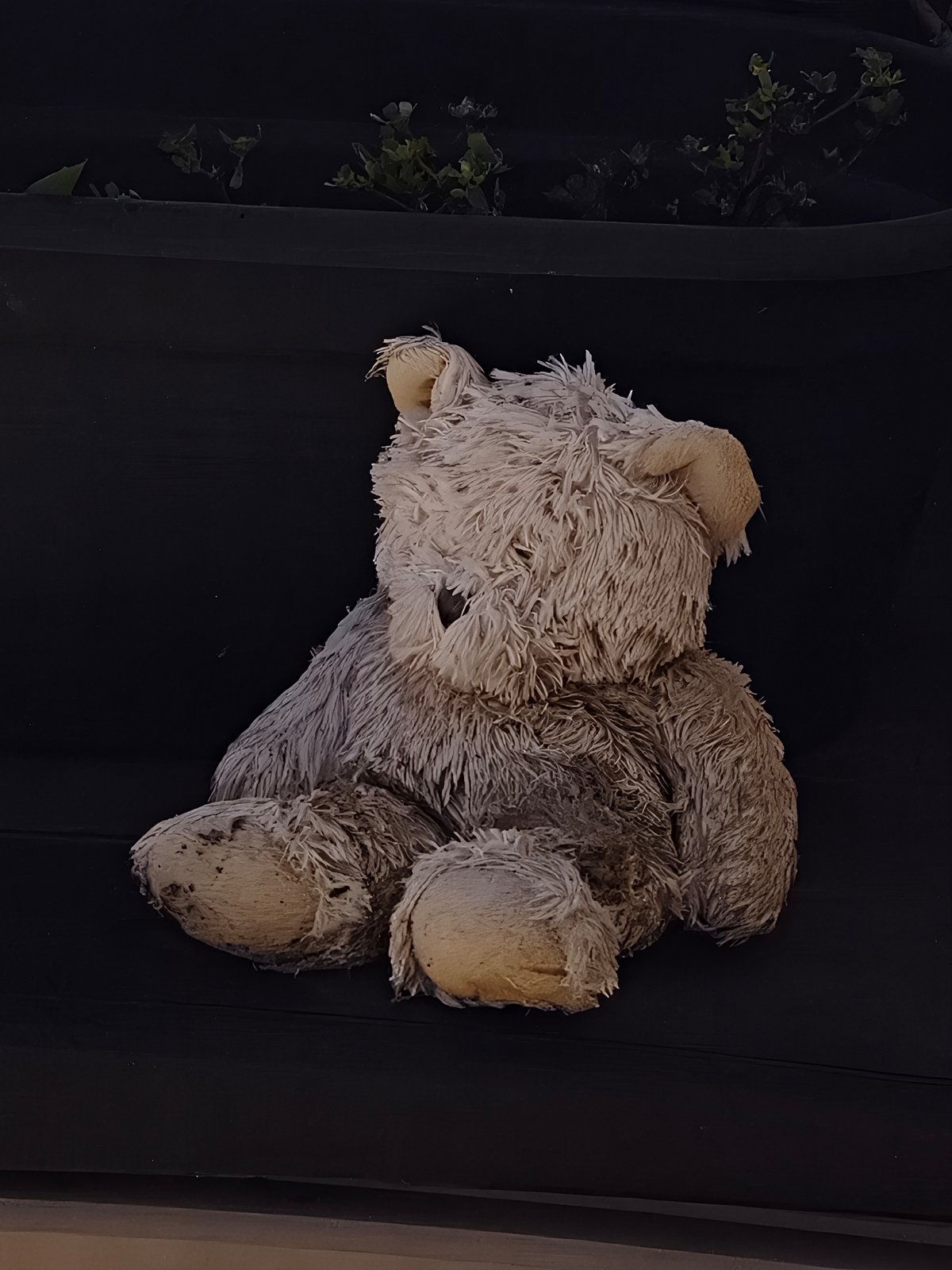 Image shootée dans la quasi obscurité © Marc Mitrani pour Clubic