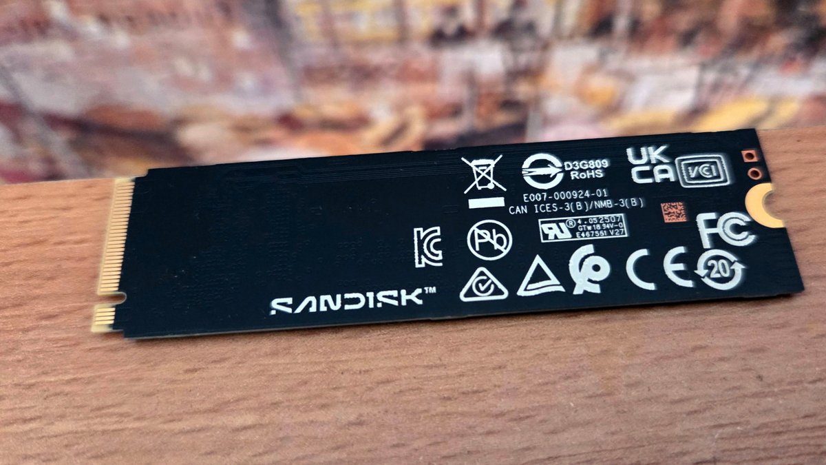 Sandisk WD_Black SN8100