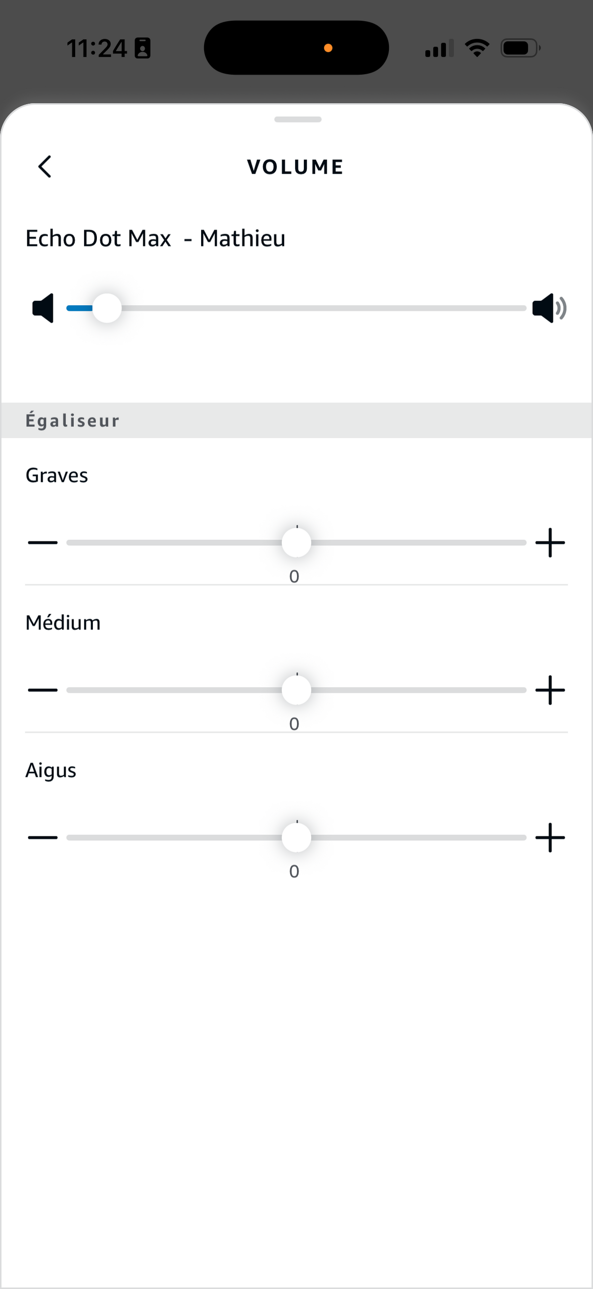 Amazon Echo Dot Max Volume