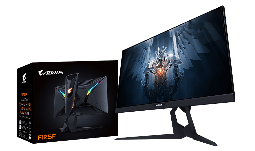 AORUS FI25F