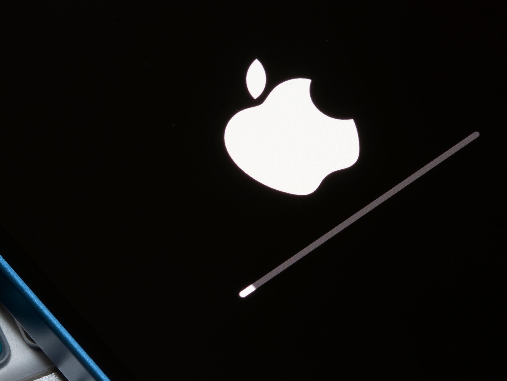 © Tada Images/Shutterstock.com