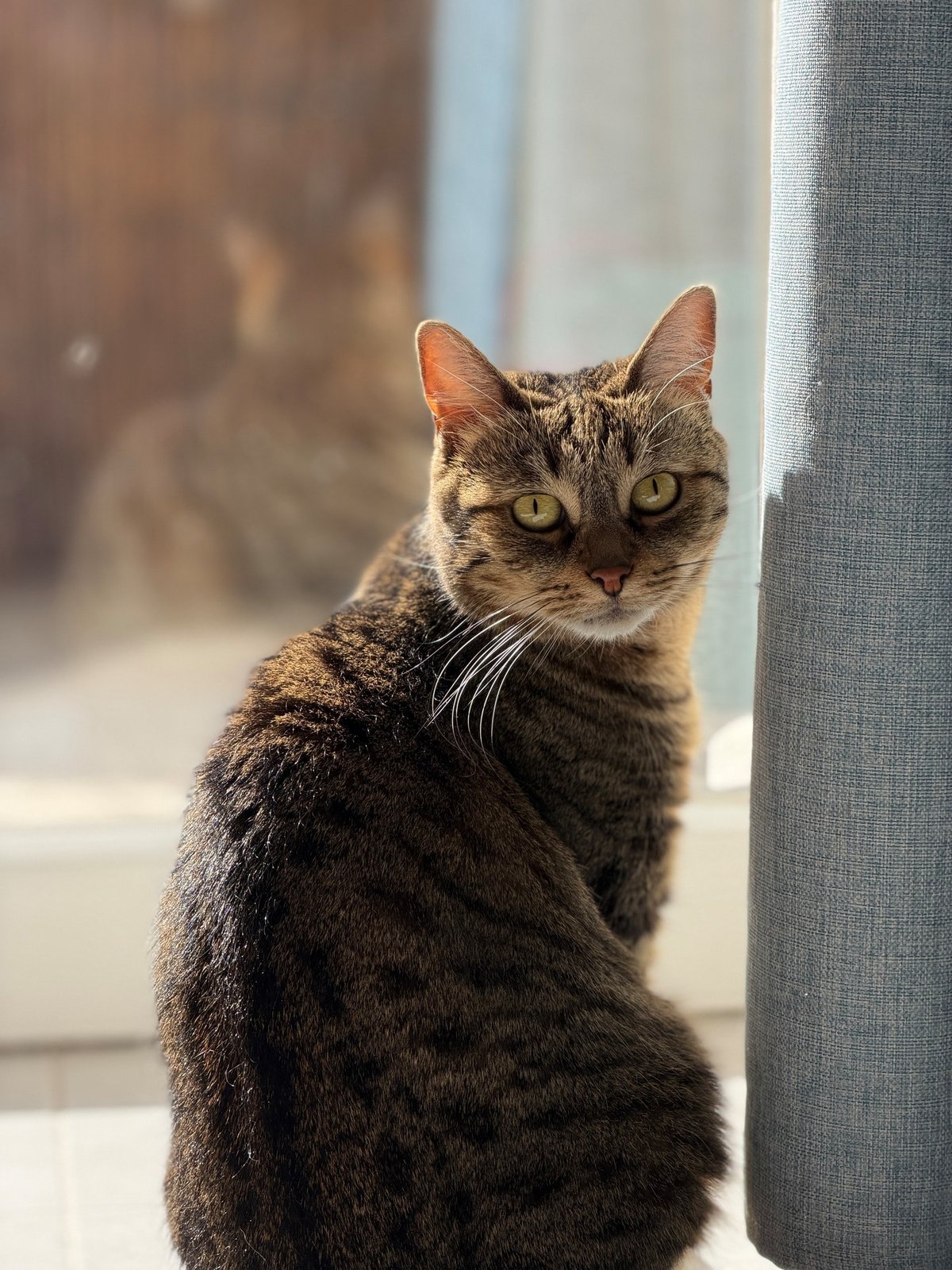 Test iPhone 17 Pro Max nuit portrait
