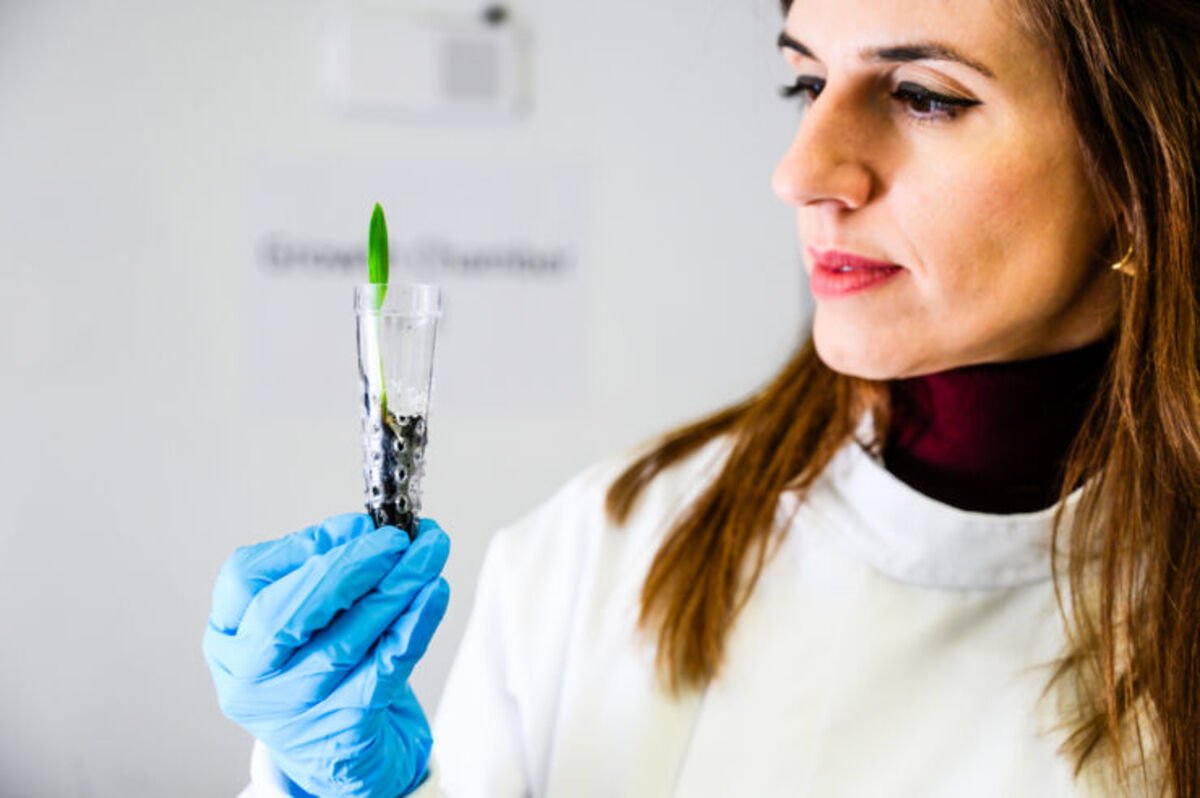 Eleni Stavrinidou, professeure agrégée principale et superviseur de l'étude © Thor Balkhed / Université de Linköping