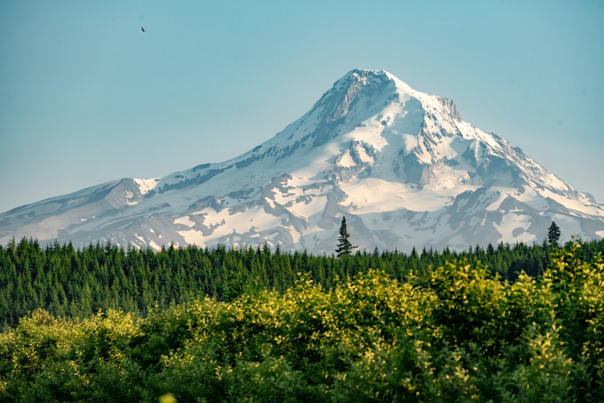 Le mont Hood aux États-Unis, où la famille a été piégée. © Uday Mittal / Unsplash