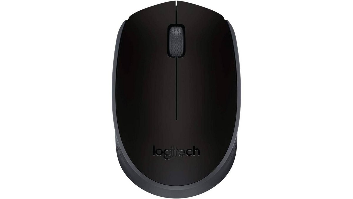 souris Logitech M171