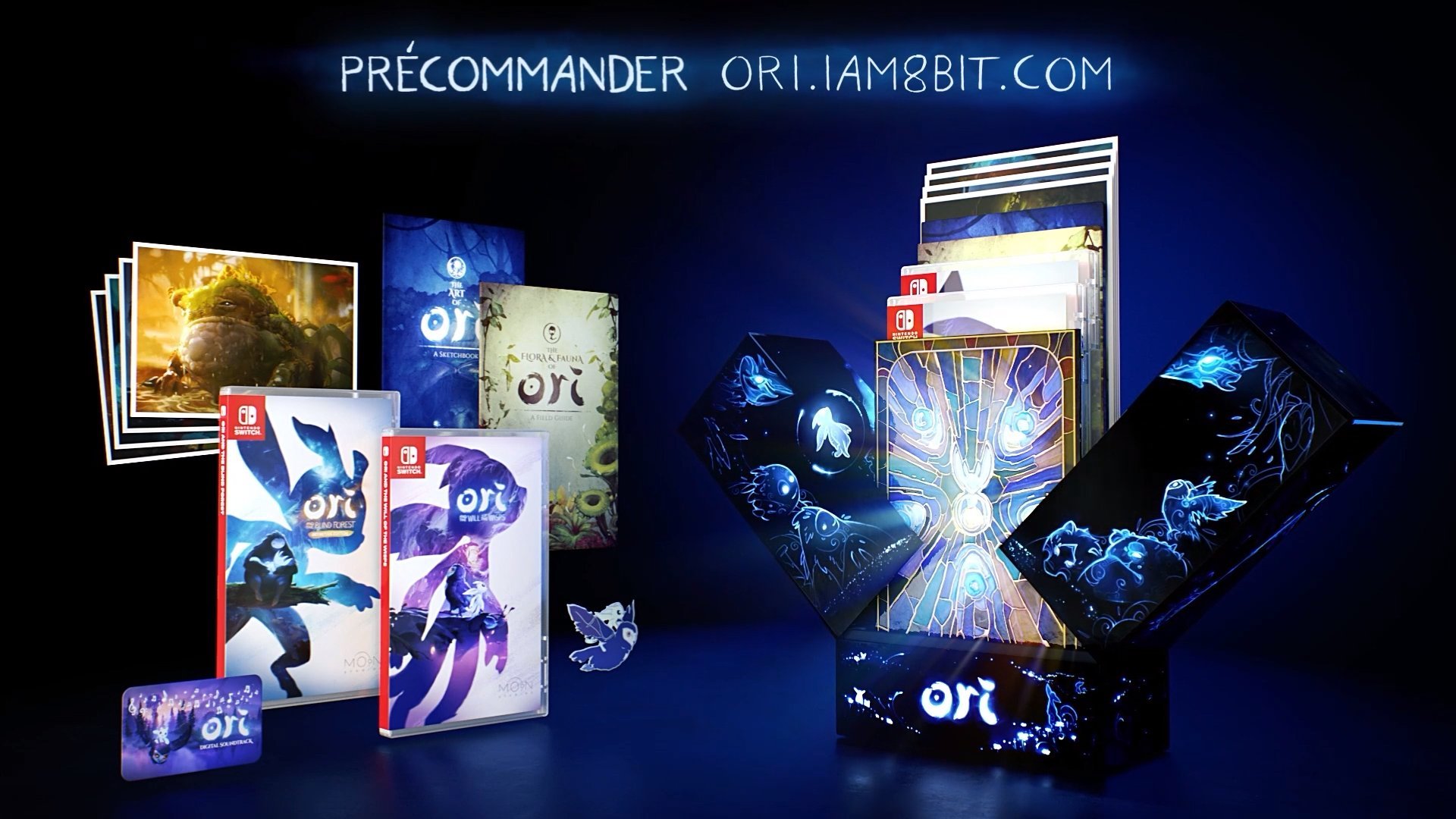 Ori and the Will of the Wisps collector