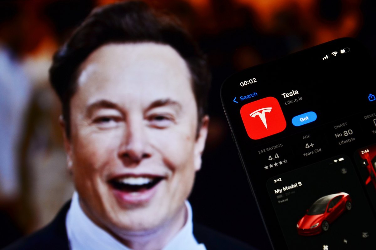 Elon Musl fait une promesse étonnante. ©miss.cabul / Shutterstock