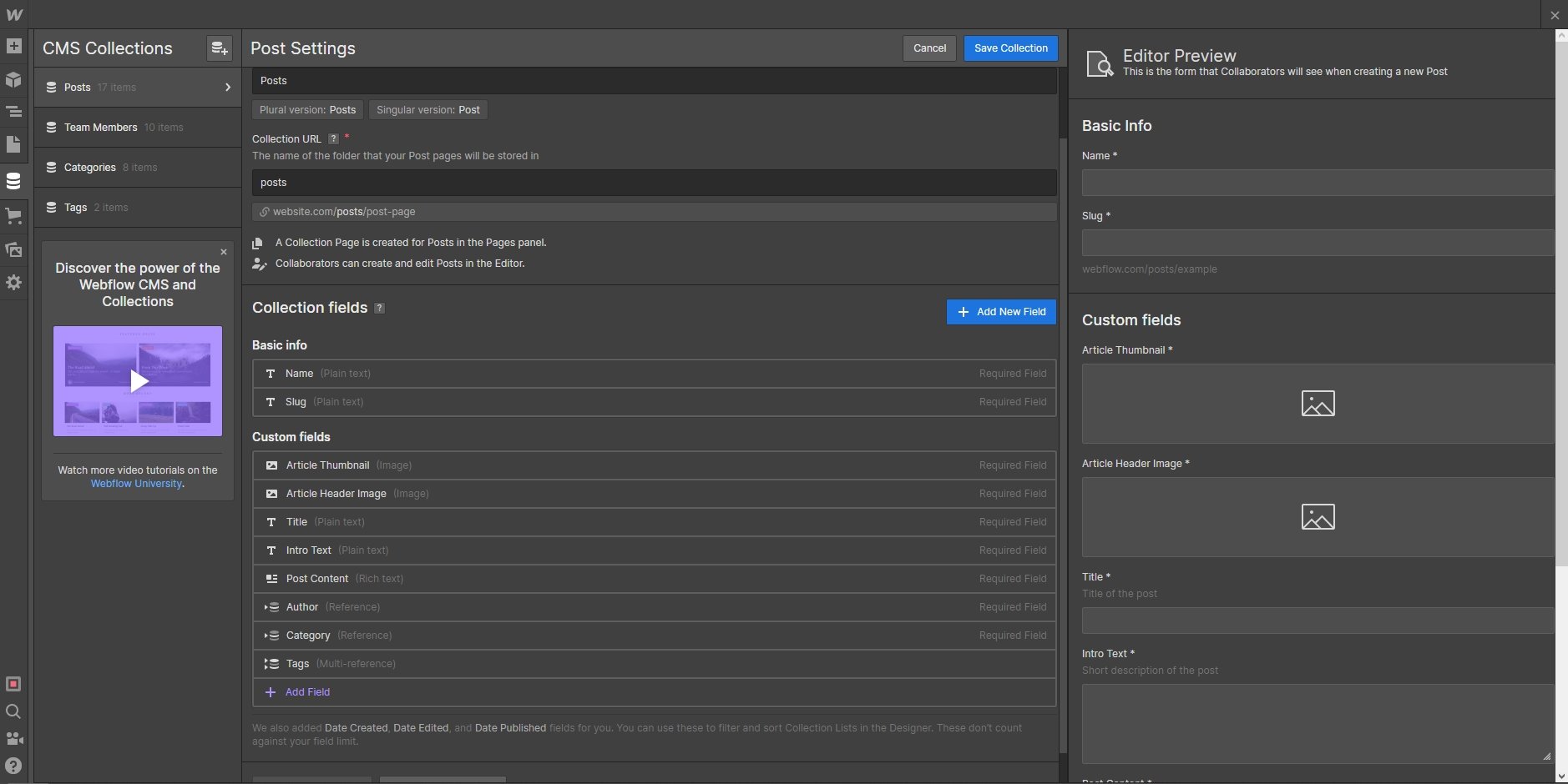 Webflow cms