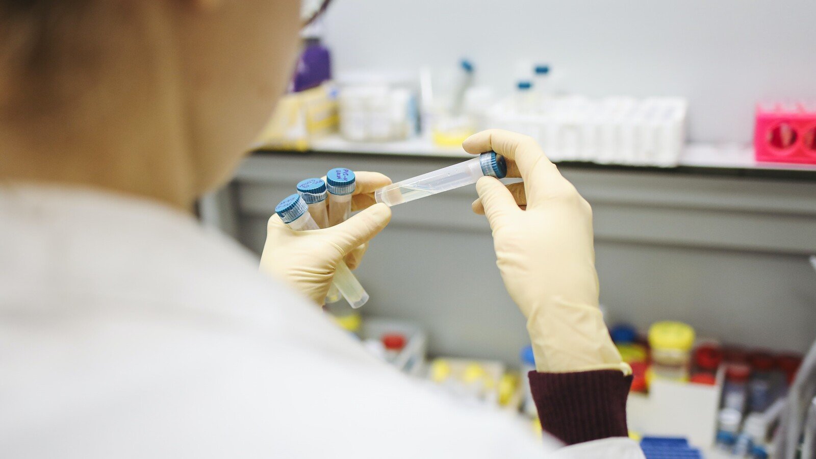 © Pexel / Polina Tankilevitch