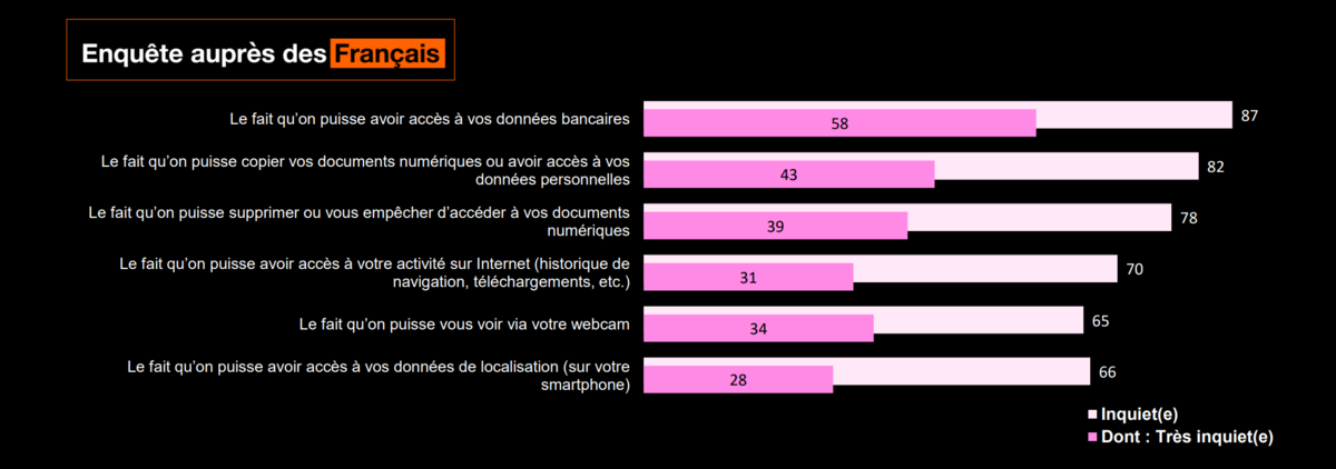 Niveau d'inquiétude selon les menaces © Toluna / Harris Interactive / Cyberdefense