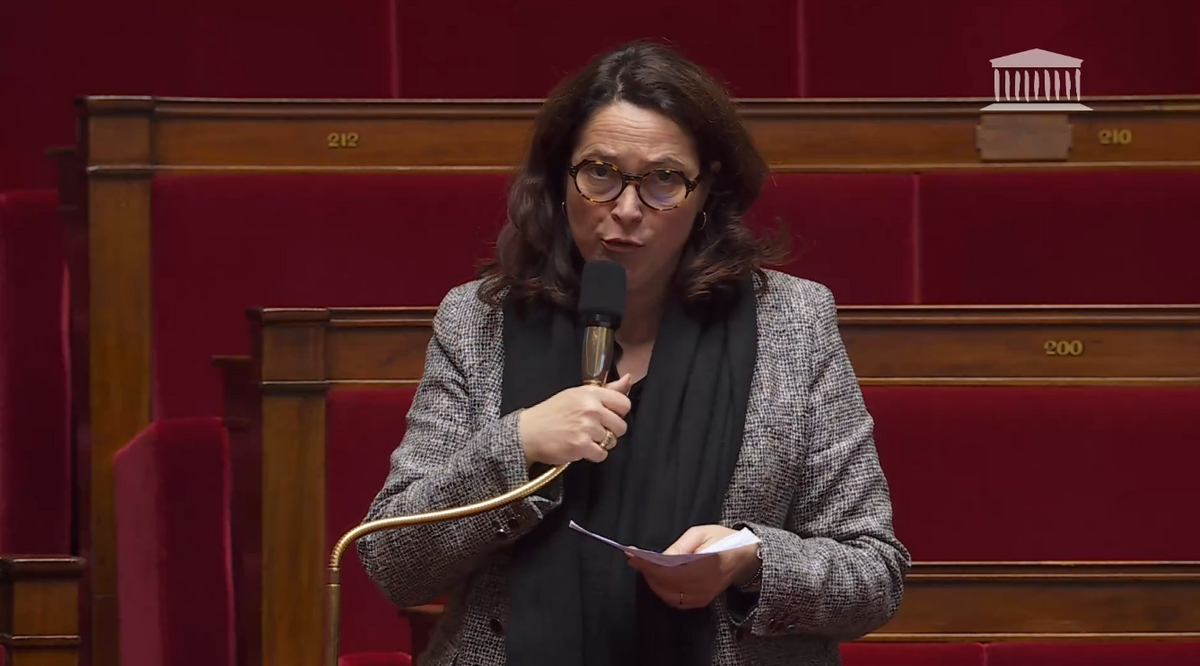 Marina Ferrari est propulsée à la tête du secrétariat d’État chargé du Numérique © Assemblée nationale