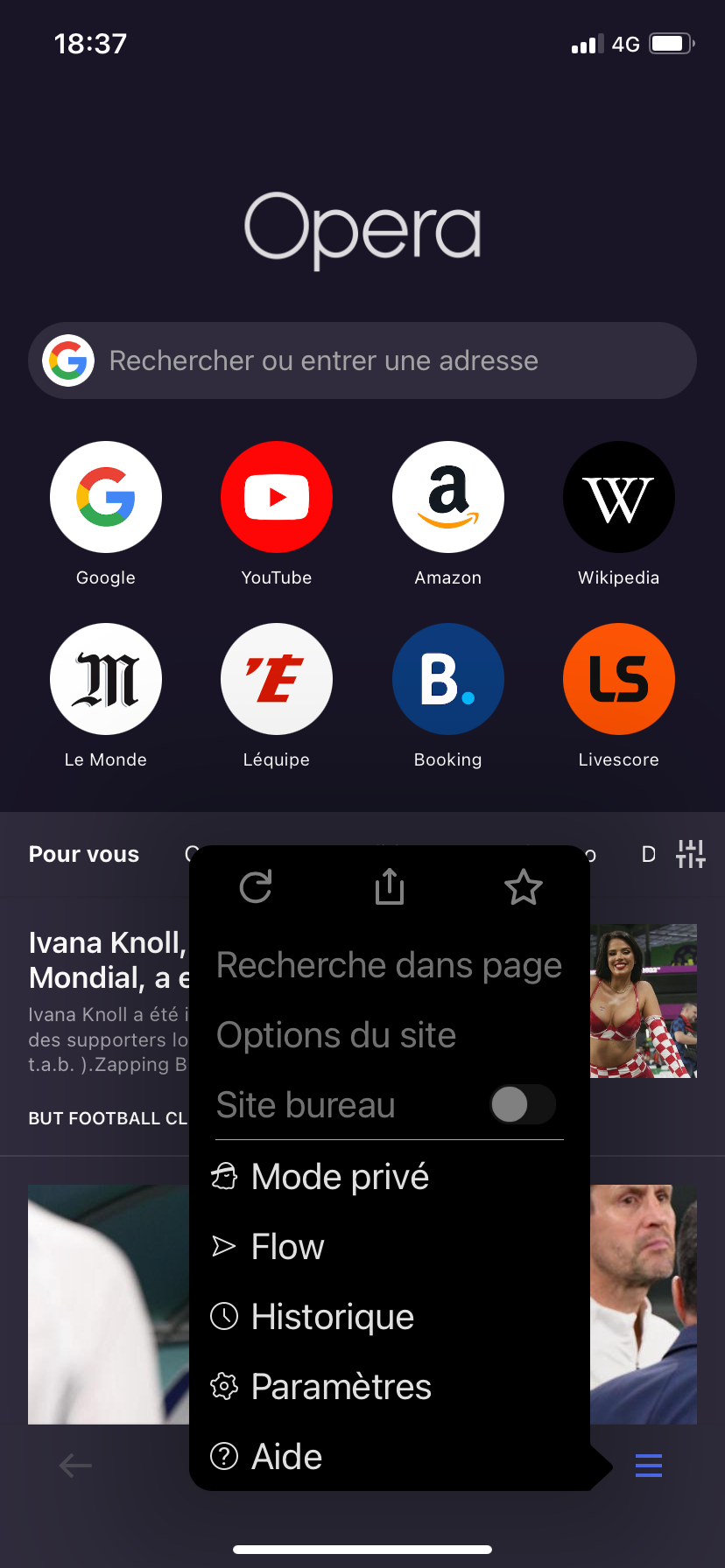 Opera navigation privée mobile 1