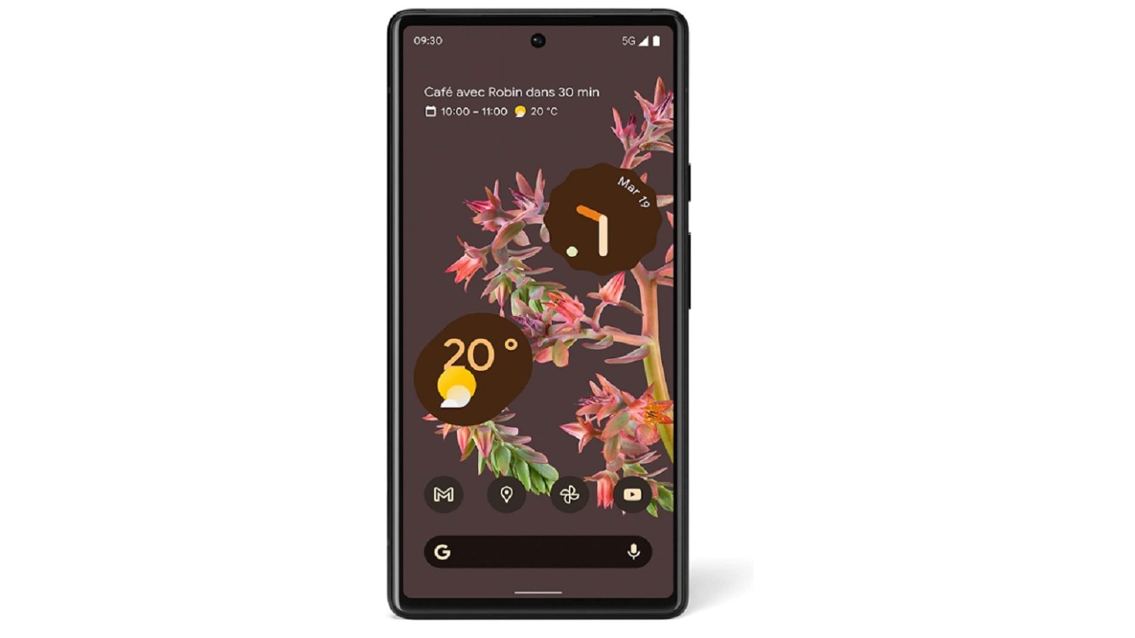 Le mobile de Google brille particulièrement en photo