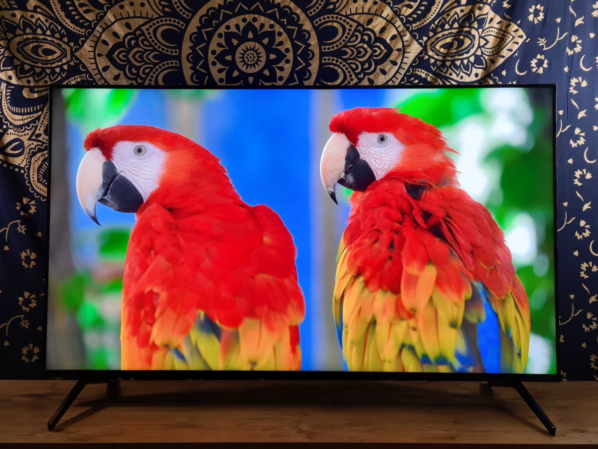 Test Sony Bravia XR55X90J_12