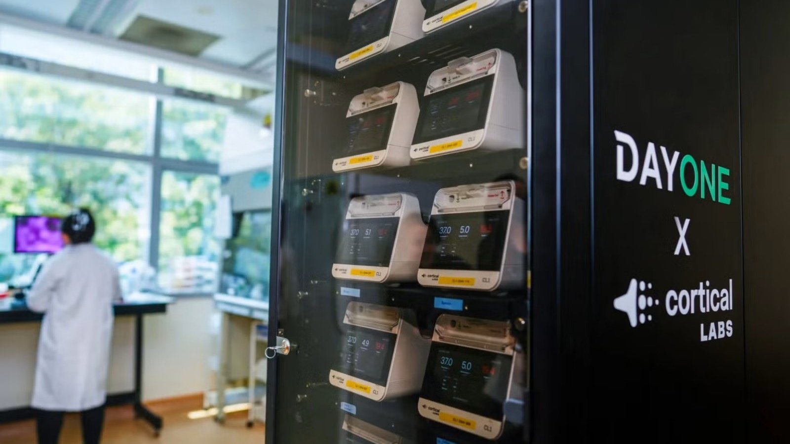 Chaque unité coûte 35 000 dollars à l'achat, environ 30 000 euros, ou 300 dollars la semaine en location, soit 257 euros - ©Cortical Labs